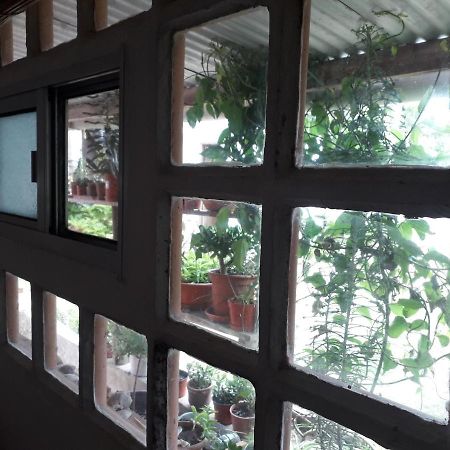 Hostel La Cruz Del Sur La Paloma Dış mekan fotoğraf
