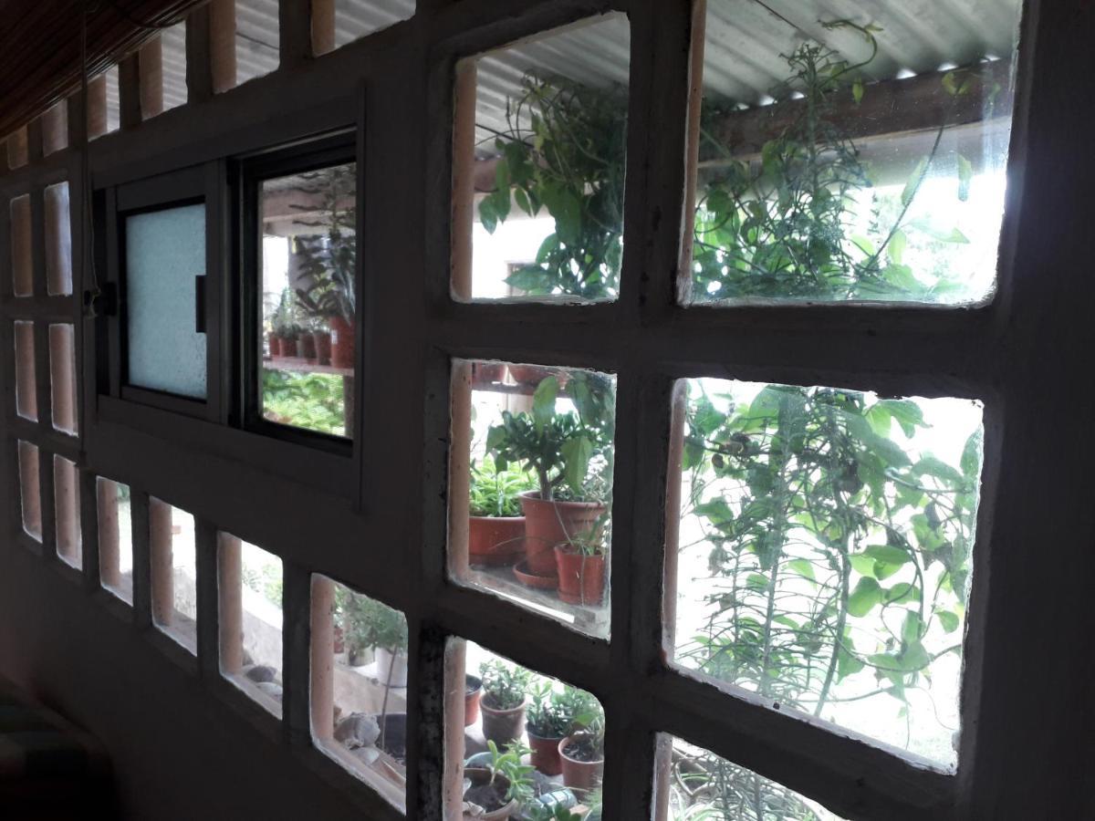 Hostel La Cruz Del Sur La Paloma Dış mekan fotoğraf