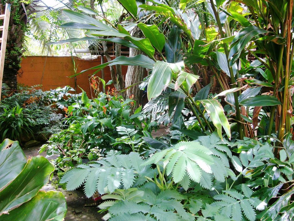 Hostel La Cruz Del Sur La Paloma Dış mekan fotoğraf
